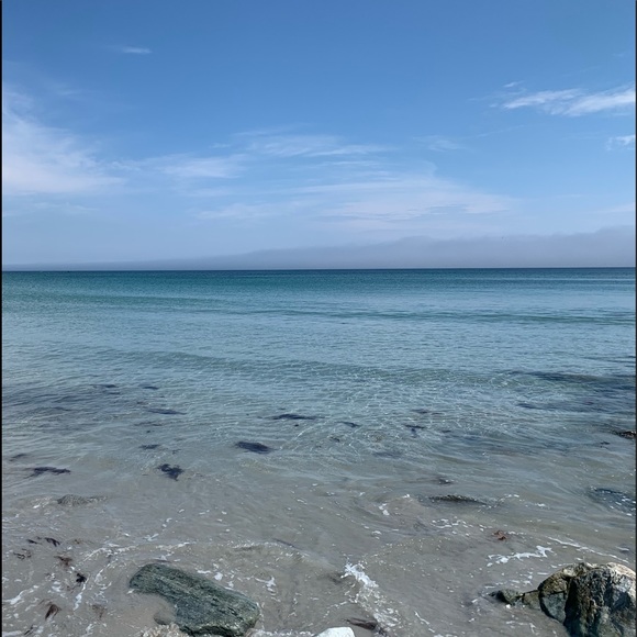 Meet your Posher, Hannah - Picture 1 of 1